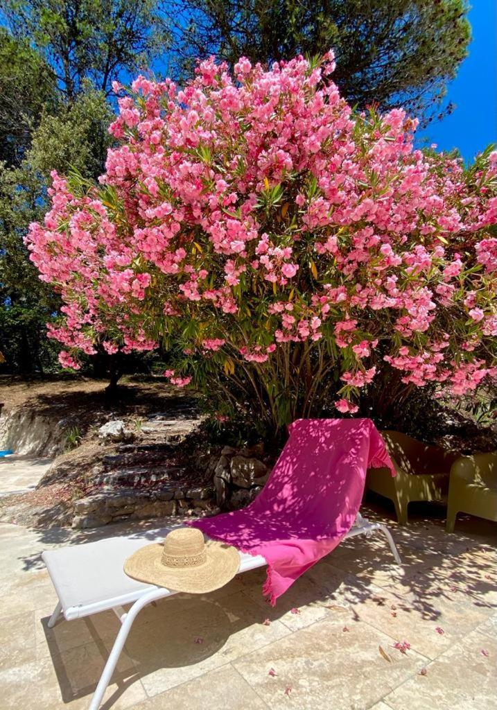 La Bastide Blanche Magnifique Villa 5 Etoiles 5 Chambres Et Piscine Privee Sur 6500 M Var Lorgues Kültér fotó